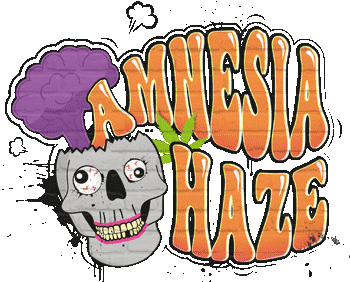 Amnesia Haze Féminisée